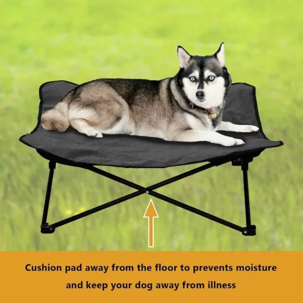 Portable Elevated Dog Bed